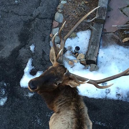 Elk Run Bed And Breakfastエバーグリーン エクステリア 写真